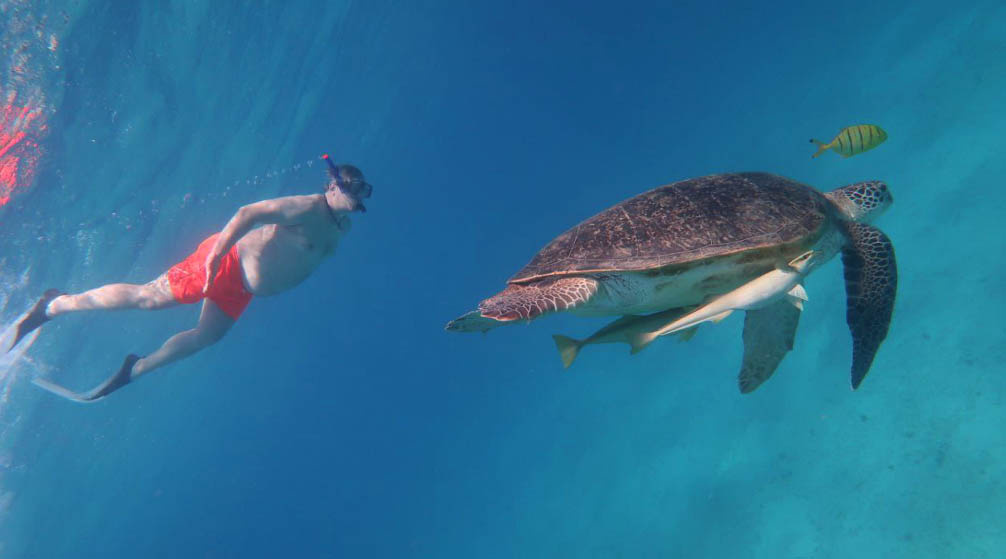 Excursion dune journée à Louxor depuis Marsa Alam