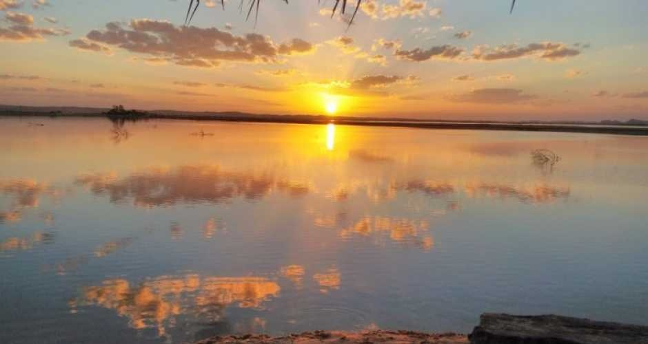 Excursions dans le désert dÉgypte