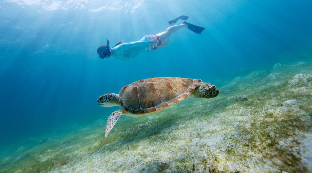 Shaab Samadai Excursion de plongée en apnée au départ de Marsa Alam