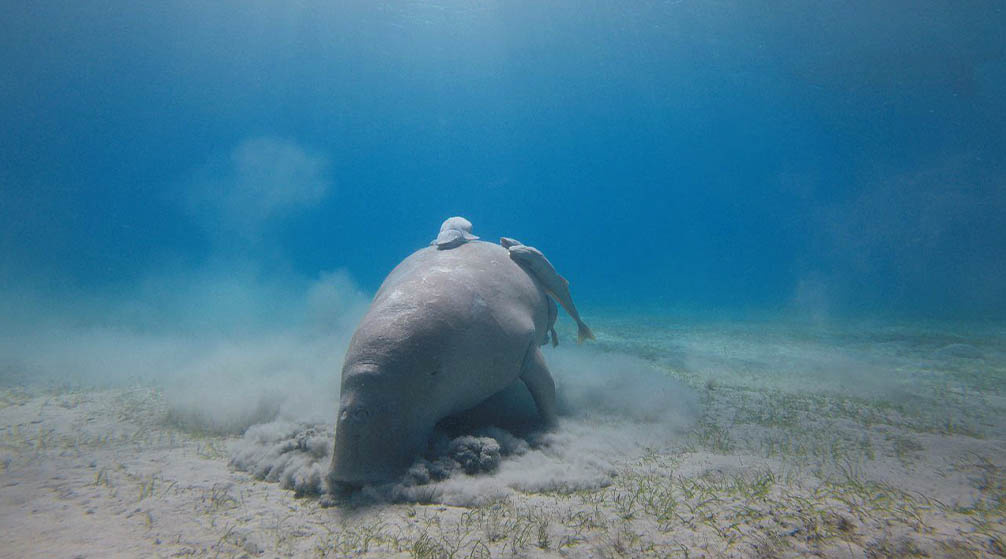 Voyage au Caire depuis Marsa Alam en avion