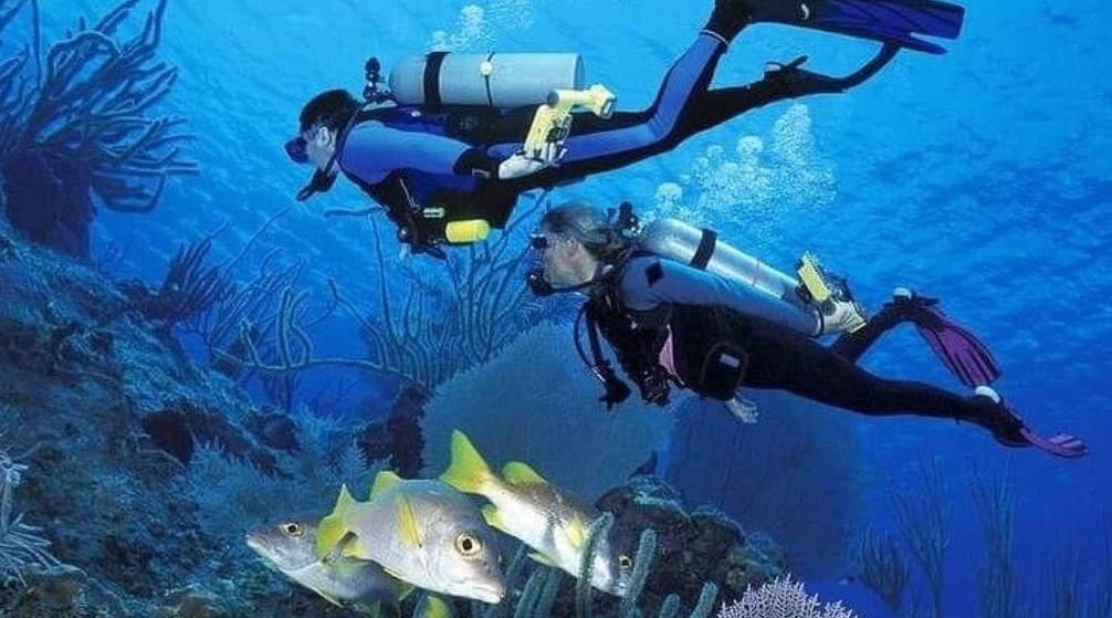 Voyage privé à Wadi El Gemal depuis Marsa Alam