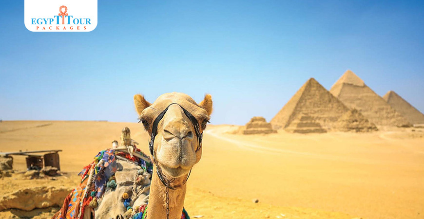 Le meilleur itinéraire de 9 jours en Égypte | Forfaits touristiques en Égypte 