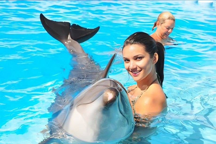 Excursion de plongée en apnée à la maison des dauphins depuis Hurghada