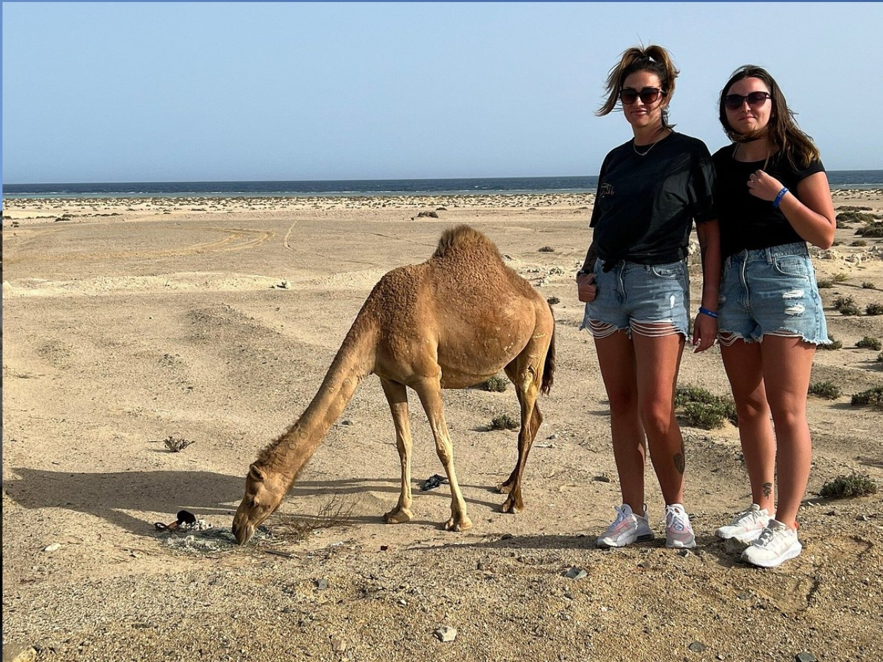Voyage privé à loued El Gemal depuis Port Ghalib