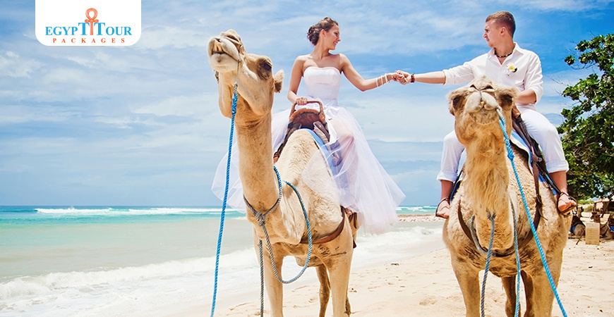 Things To Do in Hurghada | Egypt Tour Packages 