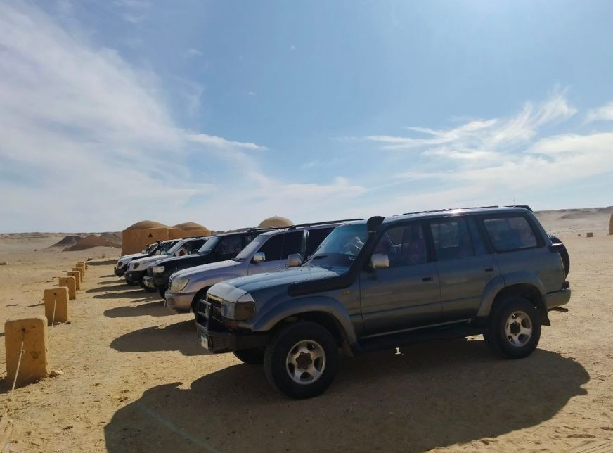 Day Tour to Fayoum from Cairo