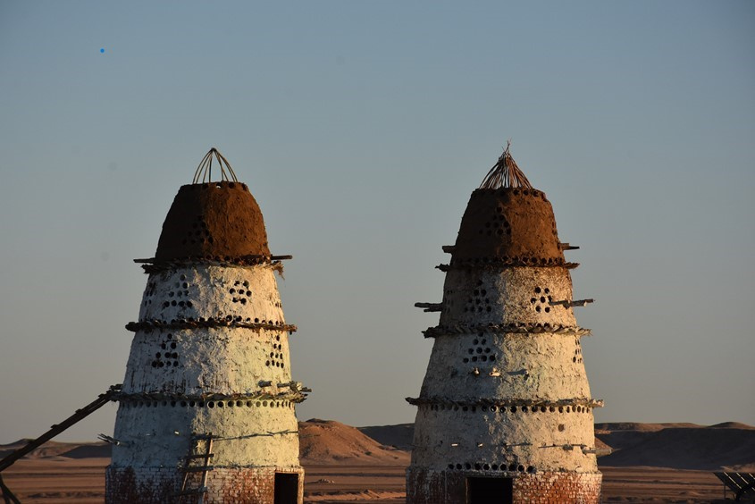 Star Gazing Trip from Makadi