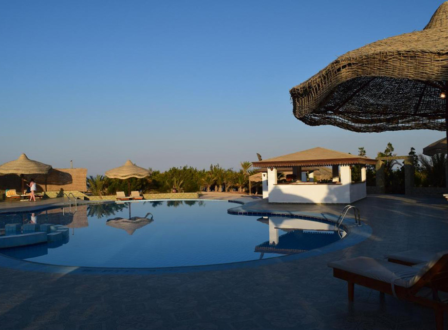 Transfer from Marsa Alam Airport to Mangrove Bay Resort