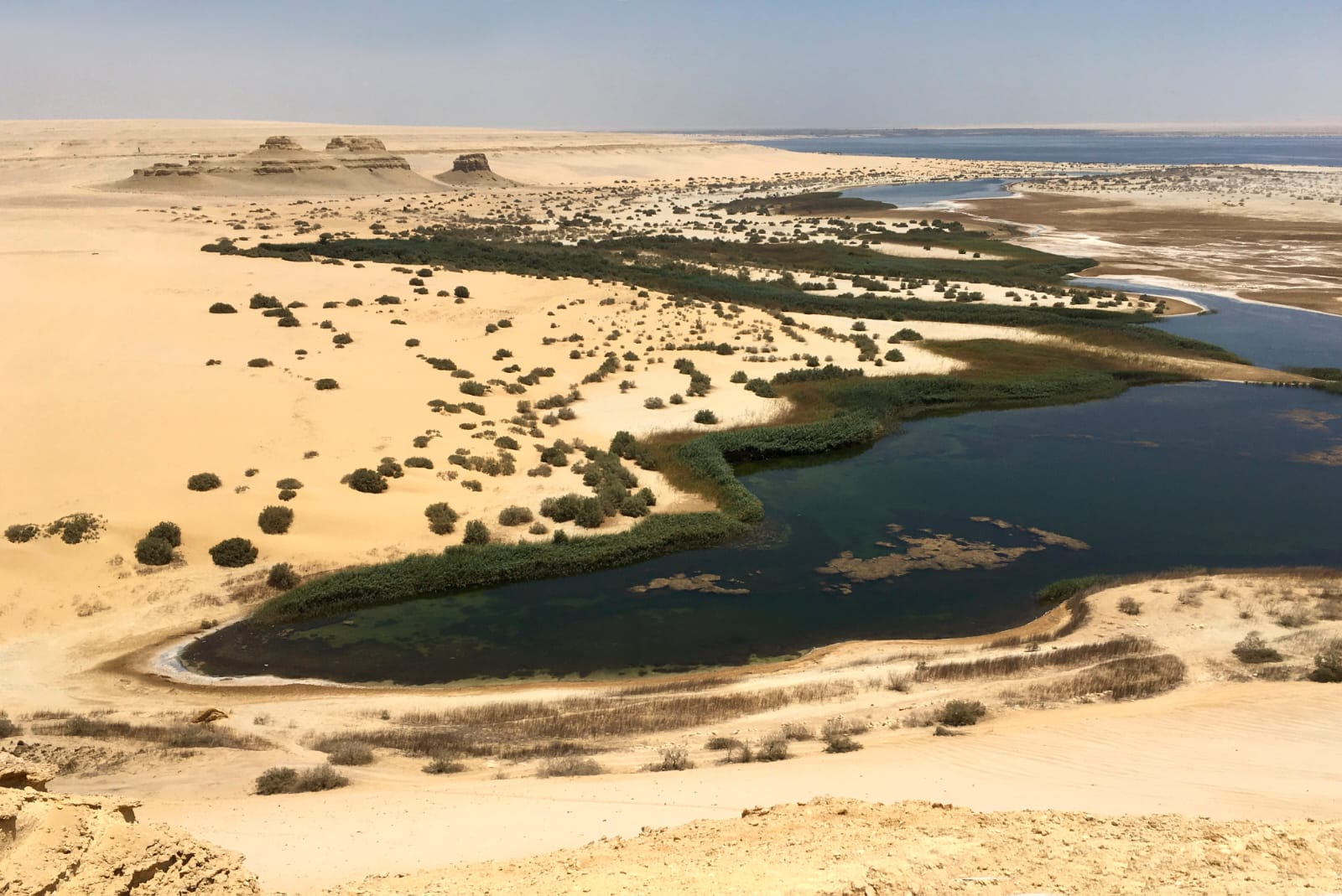 Trip to Wadi Al Hitan and Fayoum Oasis From Port Said Port