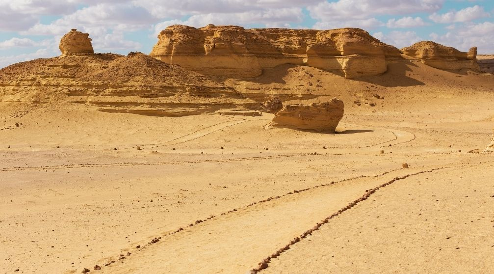 Trip to Wadi Al Hitan and Fayoum Oasis from Cairo