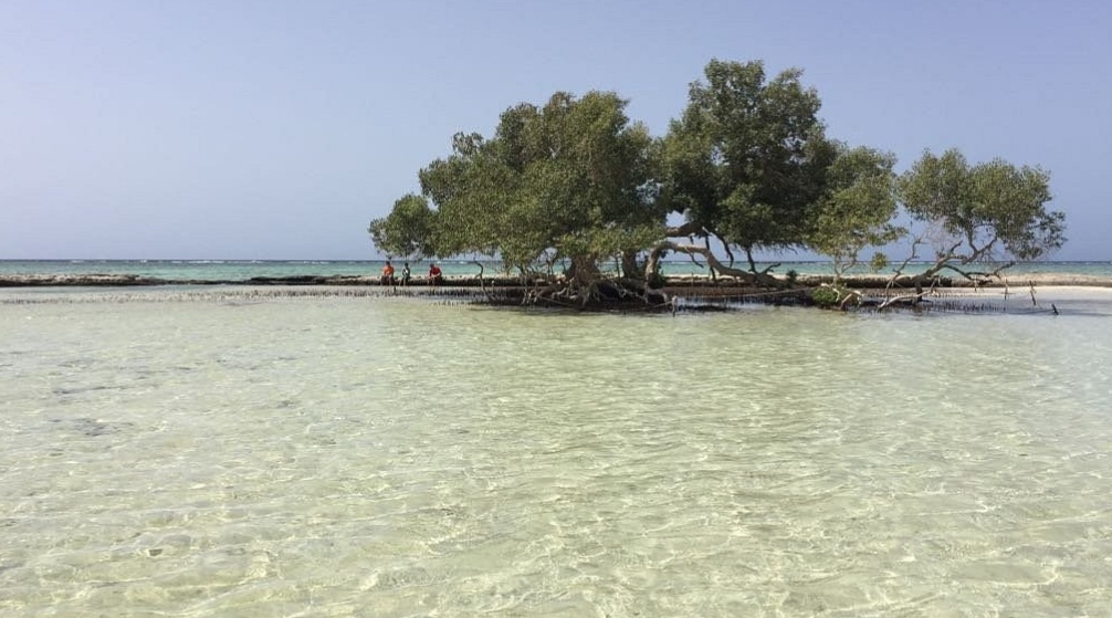 Escursione Privata al wadi El Gemal da Marsa Alam