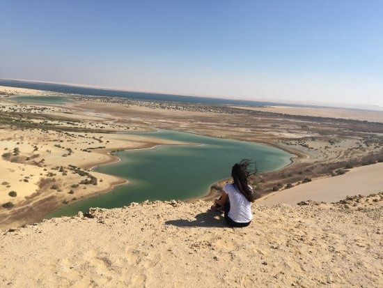 Escursione al wadi el Hitan valle delle balene dal Cairo
