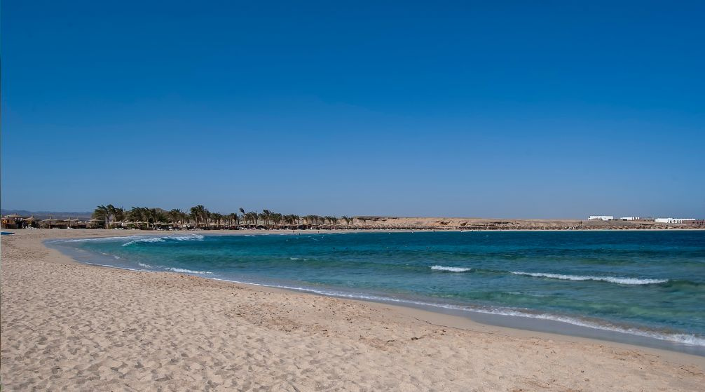 Escursione di snorkeling ad Abu Dabab da Port Ghalib