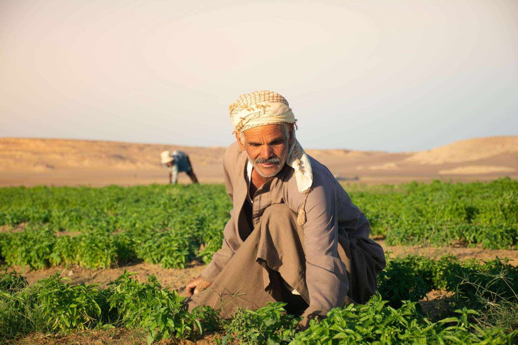 Itinerario di 10 giorni in Egitto