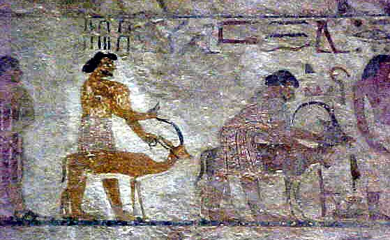 4 daagse reis naar Wadi El Hitan en El Minya met afzetten in Luxor