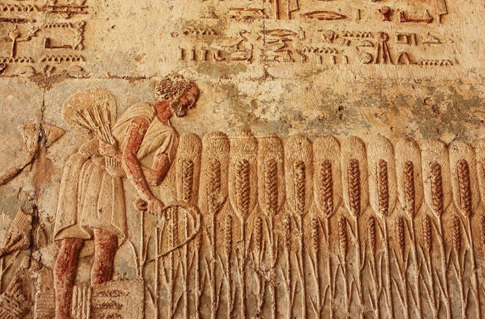 4 daagse reis naar Wadi El Hitan en El Minya met afzetten in Luxor