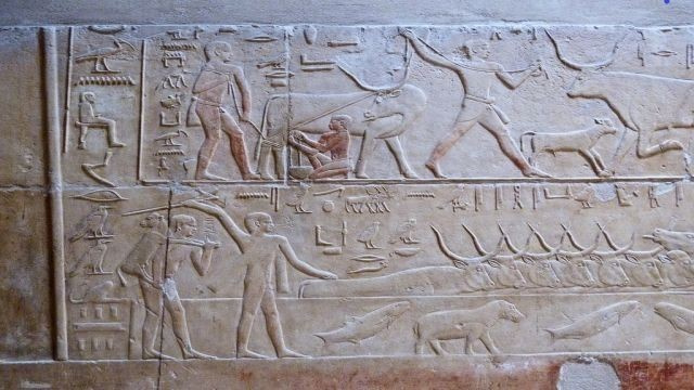 Dag Excursie naar de piramides van Sakkara en Dahshur en Memphis