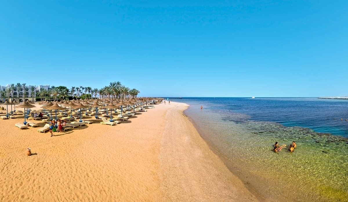 De beste excursies vanuit Portghalib 2024-2025