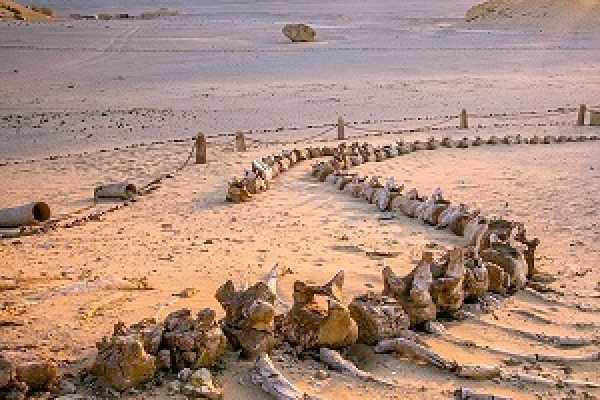 6 daags tourpakket Cairo en Fayoum