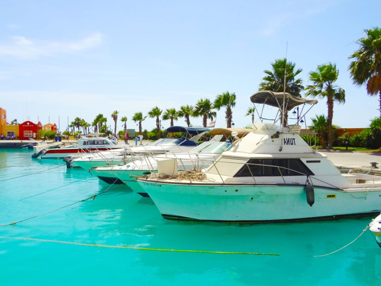 Port Ghalib winkeltrip vanuit Marsa Alam