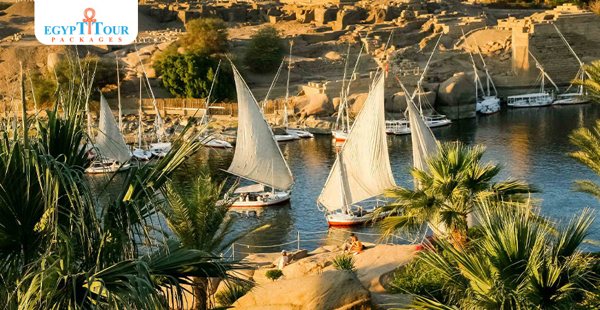 Rzeczy do zrobienia w Asuanie | Pakiety wycieczek do Egiptu 