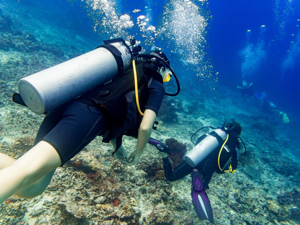 Excursie de snorkeling pe Marsa Mubarak din Port Ghalib